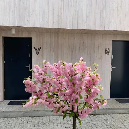 アパート Masz Ci